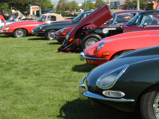 Jaguar Club of Illinois Concours