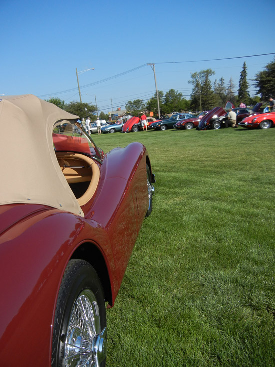 Jaguar Club of Illinois Concours