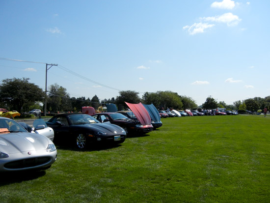 Jaguar Club of Illinois Concours