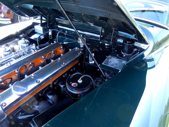 Jaguar Club of Illinois Concours