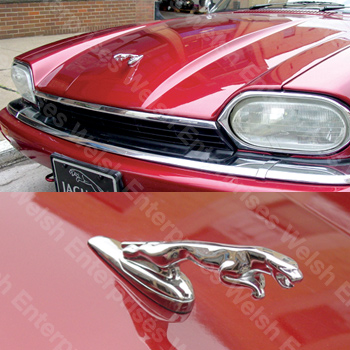 XJS Spring Loaded Leaper