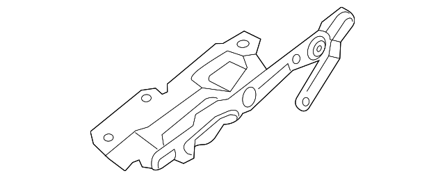 Hinge (Jaguar OEM) C2C42011OEM