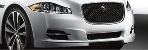 Mesh-Grille C2D23093OEM