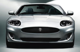 Mesh-Grille (Jaguar OEM) C2P18324OEM