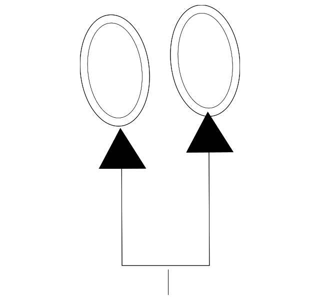 O-Ring (Jaguar OEM) C2P24809OEM