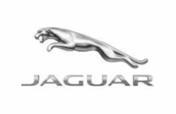 Finisher-Trunk (Jaguar OEM) J9C2476OEM