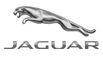 Net (Jaguar OEM) T2H31242OEM