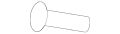 Screw (Jaguar OEM) AJ810002OEM