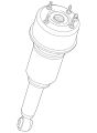 Damper & Spring- (Jaguar OEM) C2C41343OEM