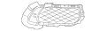 Mesh-Grille (Jaguar OEM) C2D25653OEM