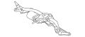 Motor & Mech-Wip (Jaguar OEM) C2D30570OEM