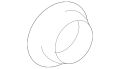 Ring-Retaining (Jaguar OEM) C2D36166OEM