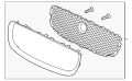 Grille-Radiator C2D43047OEM