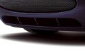 Mesh-Grille (Jaguar OEM) C2P13553OEM