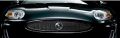 Mesh-Grille (Jaguar OEM) C2P17354OEM