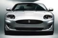 Mesh-Grille (Jaguar OEM) C2P18324OEM