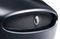 Mesh-Grille - Discontinued (Jaguar OEM) C2P9191OEM