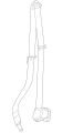 Seatbelt (Jaguar OEM) C2S4773AEKOEM