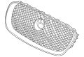 Grille-Radiator C2Z13175OEM