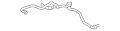Hose-Water (Jaguar OEM) C2Z1720OEM