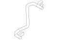 Cover-Cushion (Jaguar OEM) C2Z17455APGOEM