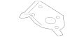 Reinforcement (Jaguar OEM) C2Z3977OEM