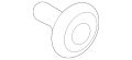 Screw-Paint Clea (Jaguar OEM) C2Z4505OEM
