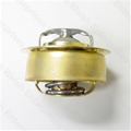 Jaguar Thermostat Bypass Type
