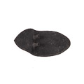Jaguar Tail Lamp to Body Gasket