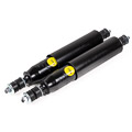 Jaguar Rear Shock