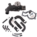 Jaguar Water Pump