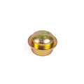 Jaguar Hub Carrier Cap