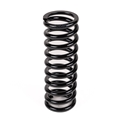 Jaguar Rear Spring