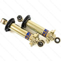 Jaguar Rear Shock