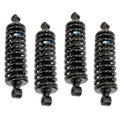 Jaguar Rear Shock And Spring - Boge