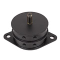 Jaguar Motor Mount