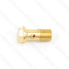 Jaguar Fuel Bowl Banjo Bolt