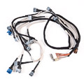 Jaguar Harness