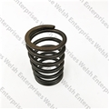 Jaguar Spring Valve