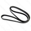 Jaguar Engine Drive Belt - XJ8 XK8
