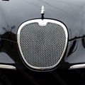 Jaguar Mesh Grille Kit S-Type