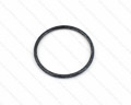 Jaguar Ring Sealing Thermostat