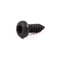 Jaguar Screw-Torx