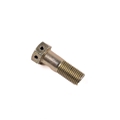 Jaguar Rear Brake Caliper Mounting Bolt