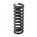 Jaguar Rear Suspension Spring