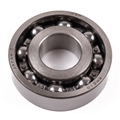 Jaguar Tail Shaft Bearing