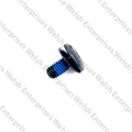 Jaguar Bolt & Washer