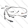 Jaguar Harness