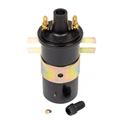 Jaguar Ignition Coil Silver FInish