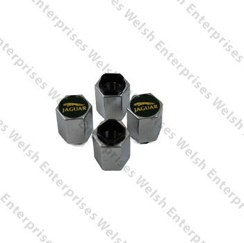 Jaguar Tire Valve Caps Theft Deter